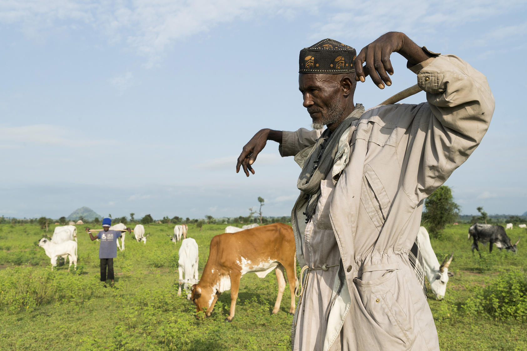 A herder watches his cows graze outside of the village of Koboga, Nigeria, Sept. 4, 2018. Photo courtesy of Adriane Ohanesian/The New York Times.